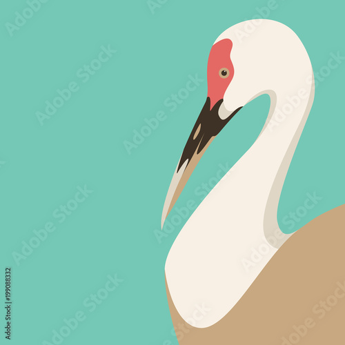 stork bird vector illustration flat style profile