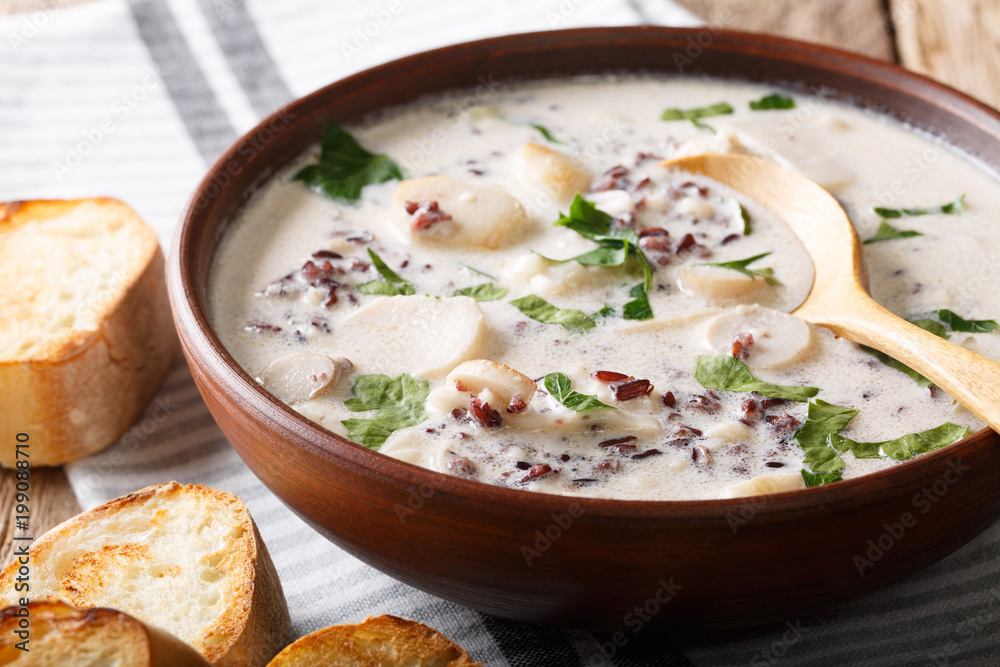 Delicious dietary soup made from wild rice with porcini mushrooms and vegetables close-up. horizontal