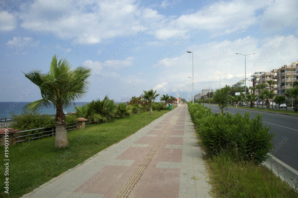 embankment with palm trees in turkey