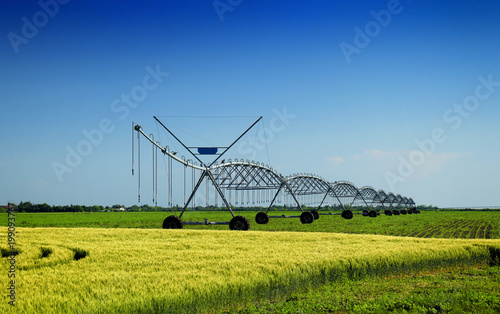 Fototapeta kuchenna Crop Irrigation using the center pivot sprinkler system