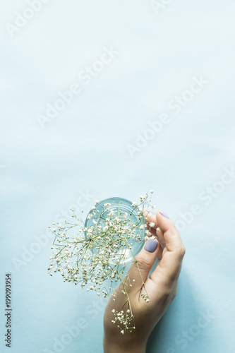 Blue manicure on female nails on a blue background next to the flowers of gypsophila. Trend for gentle pastel colors. Beauty and personal care. Copyspace
