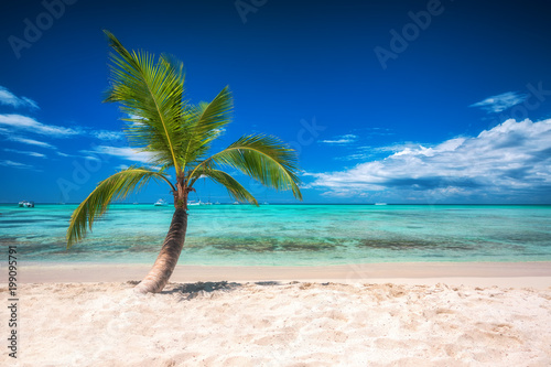 Palmtree and tropical island beach and speed boats in Caribbean sea.