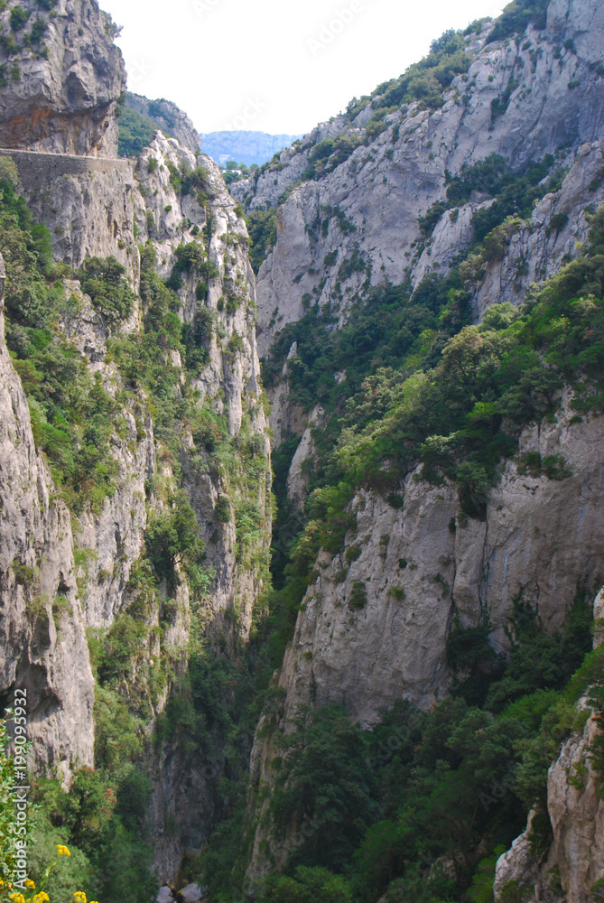 Gorges Galamus 