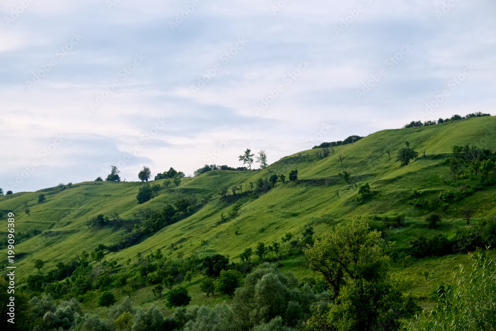 green velvet hill with soft blue sky - slopes with trees and bushes in Transylvania, summer