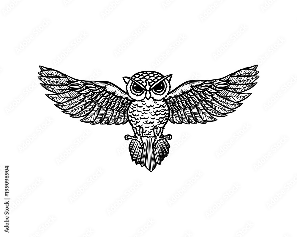 Fototapeta premium Grafika liniowa latająca sowa ptak ręcznie rysowane symbol wektor zwierzę ikona logo