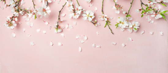 Ingelijste posters Voor haar Witte amandelbloesem op roze achtergrond  © sonyakamoz