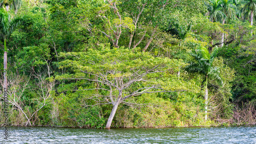 Landschaft am Hanabanilla Stausee photo