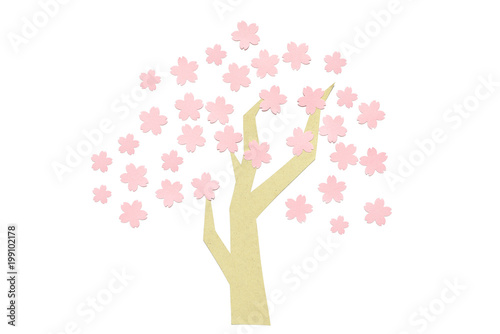 Sakura paper cut on white background - isolated