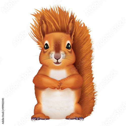 Squirrel. 3d illustration