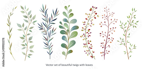 Handdrawn Vector Watercolour style, nature illustration. Set of leaves and branches, Imitation of watercolor, isolated on white. 