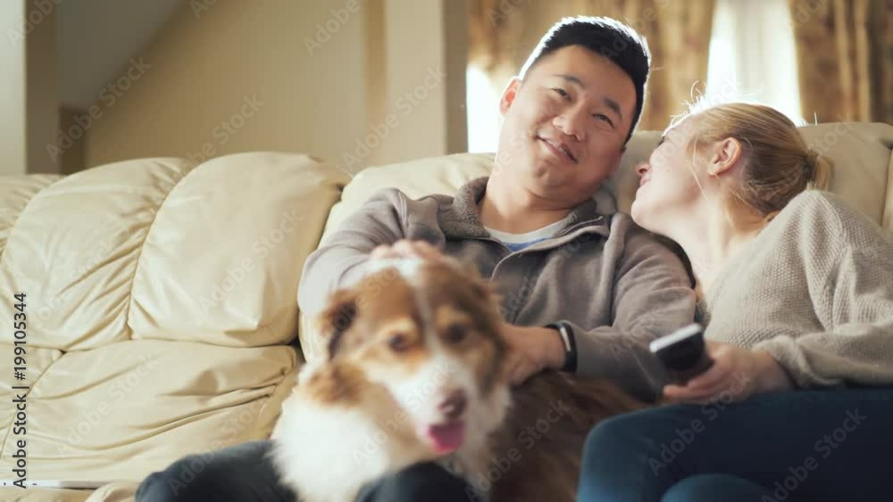 A young couple is resting at home, talking, watching TV. Around them sits their AustralianShepherd dog A young couple is resting at home, talking, watching TV. Around them sits their AustralianShepherd dog
