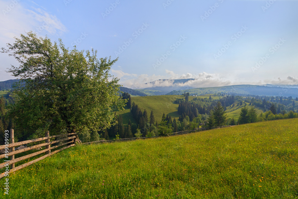Fence of a pasture and mountain. Carpathians