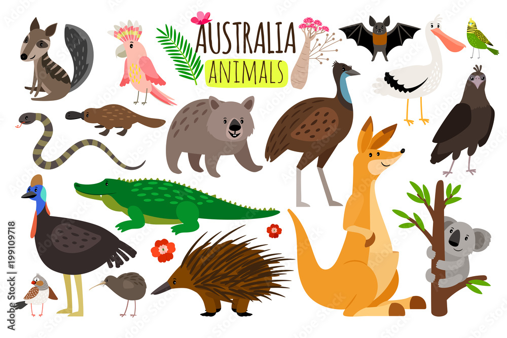 Top 10 Cutest Australian Animals Puresa - vrogue.co