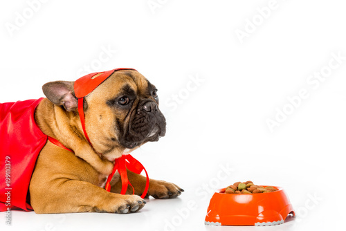 adorable french bulldog in superhero costume with bowl full of dog food isolated on white © LIGHTFIELD STUDIOS