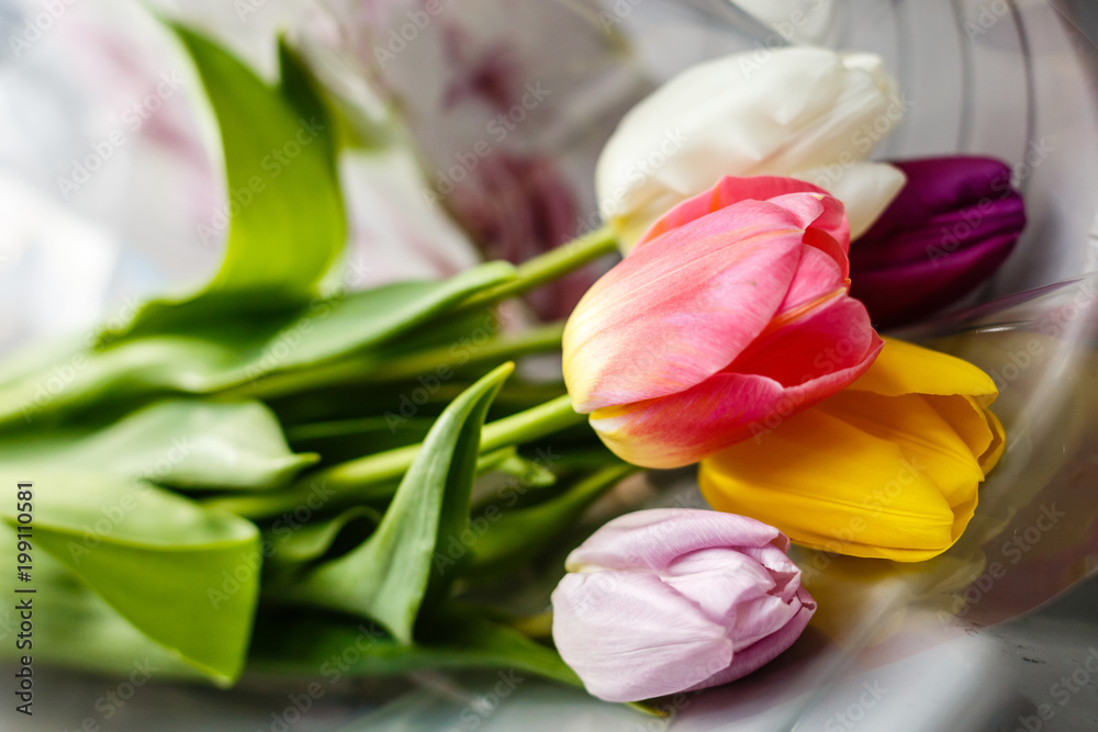 bouquet of multicolor tulips. fresh spring flowers bouquet of multicolor tulips. fresh spring flowers