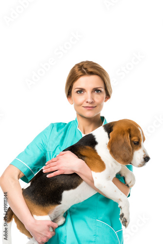 portrait of veterinarian in uniform holding beagle dog isolated on white