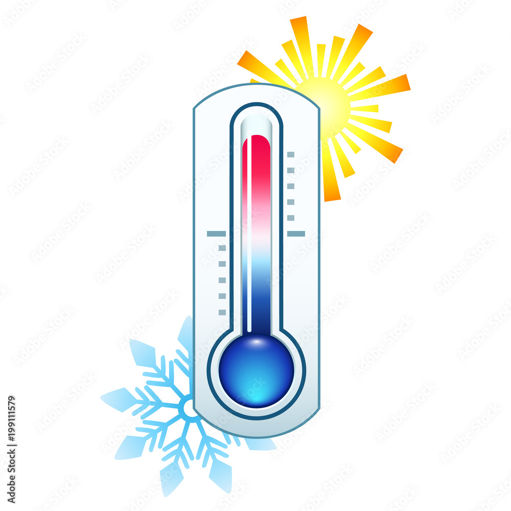 Thermometers measuring heat and cold temperature Vector Image