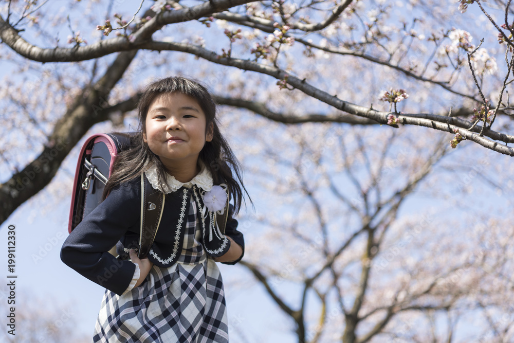 新一年生の女の子 桜背景 Stock Photo Adobe Stock