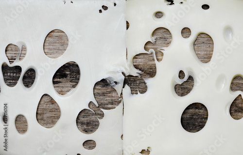 sliced cheese on a wooden board photo