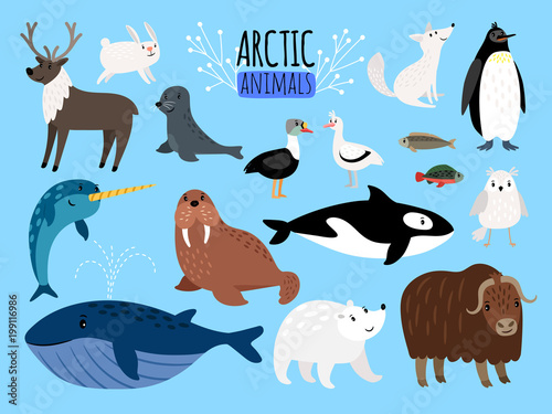 Arctic animals. Cute animal set of Arctic or Alaska vector illustration for education, penguin and polar bear