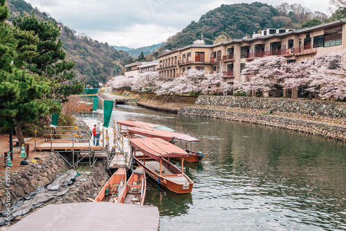 Uji river with cherry blossoms in Kyoto, Japan photo