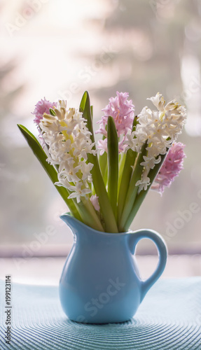 Hyacinth spring white and purple flowers in a blue vase.