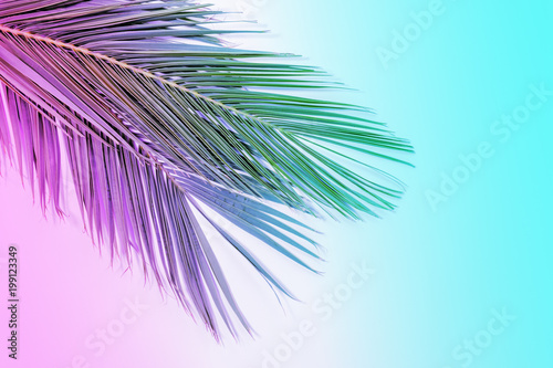 Tropical palm leaves in vibrant gradient neon colors.