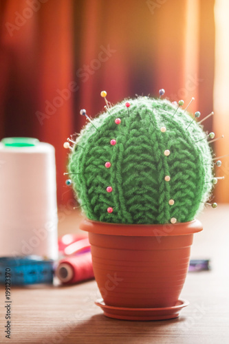 Cactus as a handmade needle bed on table. Sewing accessories, colored spools of thread