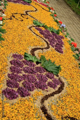 dywany z kwiat  w