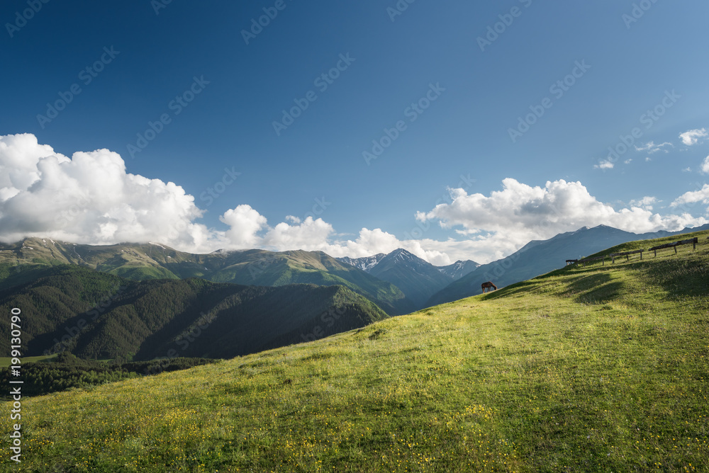 Horse on a mountain hill. Landscape of mountains with a horse.