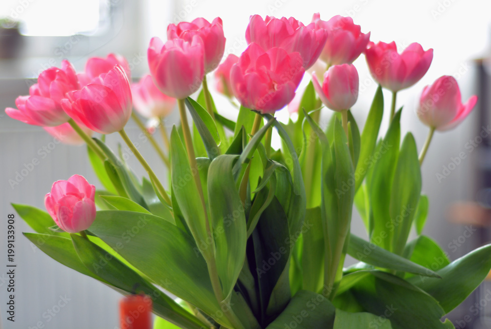 Tulpenstrauß Tulpenstrauß