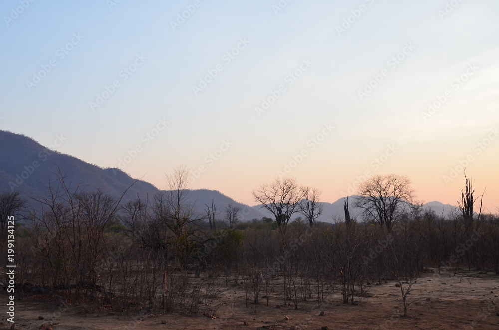 The African sunrise. Zimbabwe