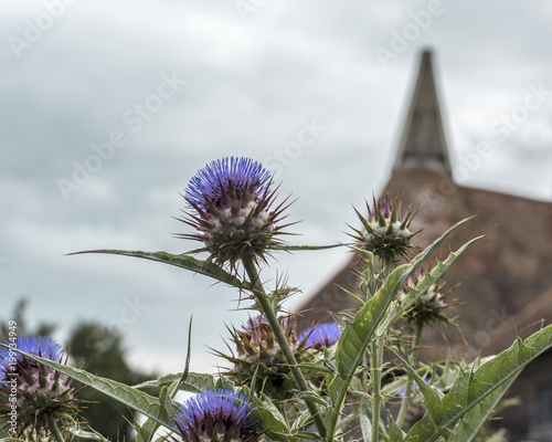 The Great Dixter garden, Kent, UK. photo