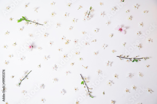 Fototapeta Naklejka Na Ścianę i Meble -  white flowers arranged on a white background like pattern