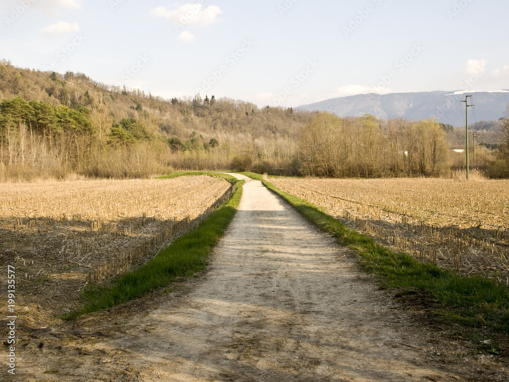 sentiero, strada stradina di montagna, trekking, jogging, Belluno, Veneto, Italia