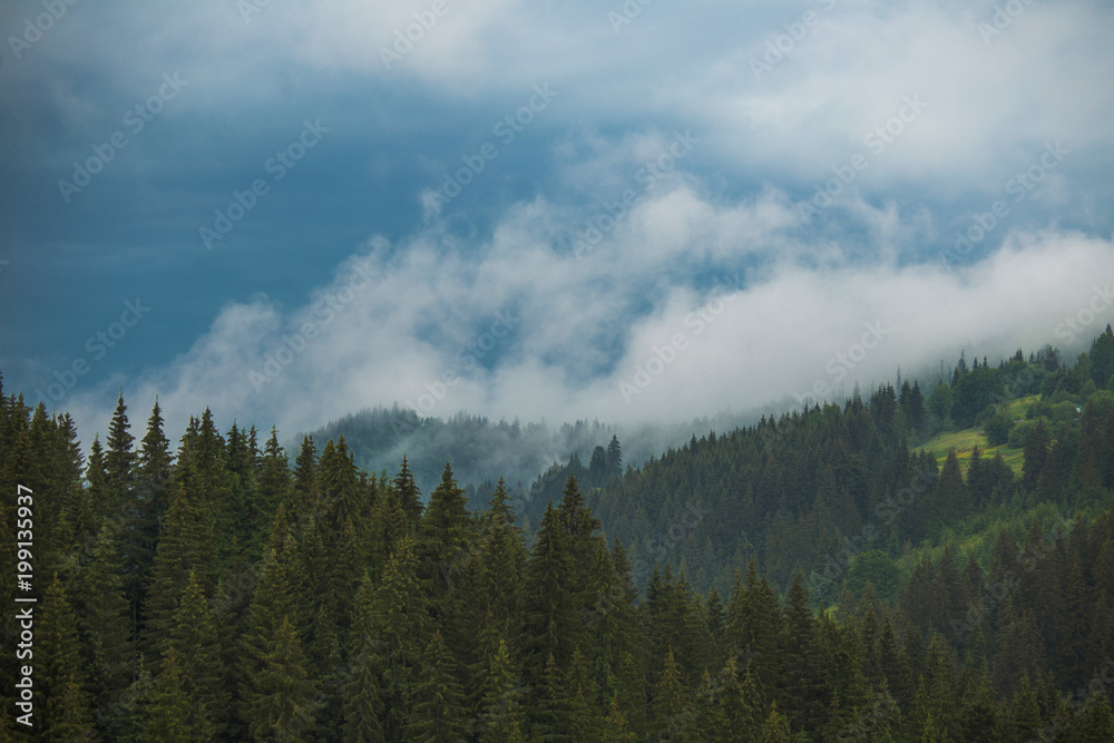 Beautiful cloudy summer landscape. Tops of mountains and old wood growing on hills. Horizontal color image.