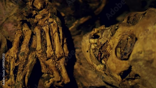 Ancient Ibaloi fire mummy in Kabayan, northern Luzon, Philippines. The famous Ibaloi mummies were made from as early as 2000 BC and can be found in caves along the mountain slopes of Kabayan. photo