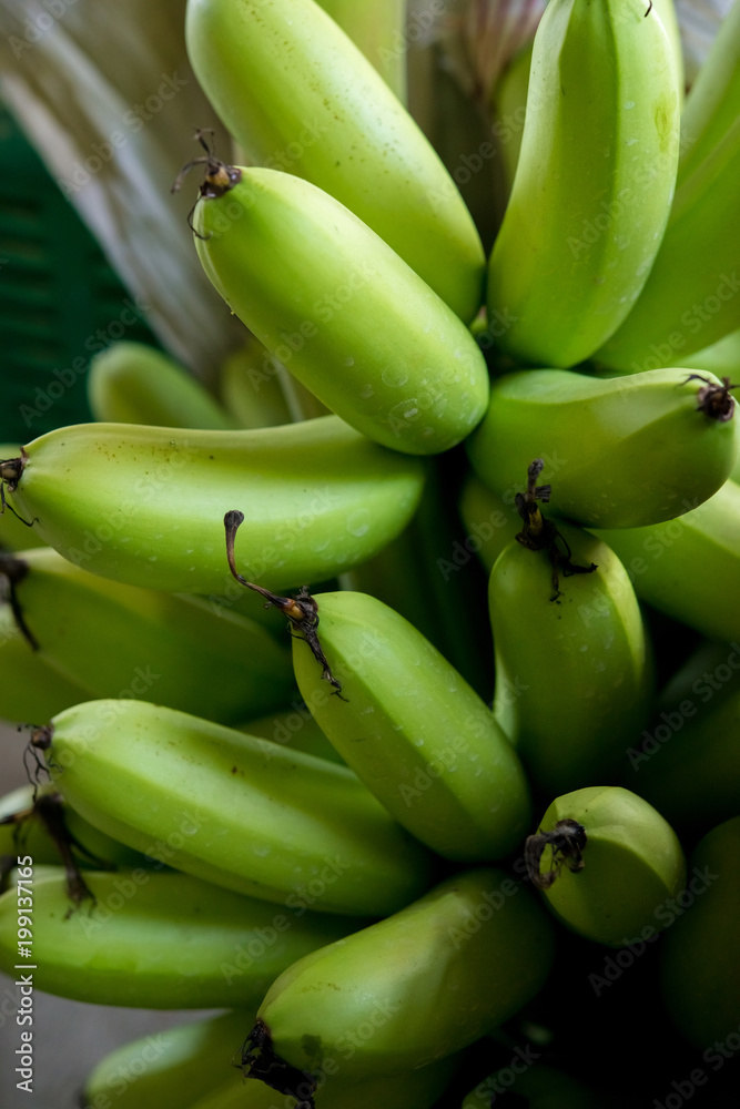 Heap of green banana Heap of green banana