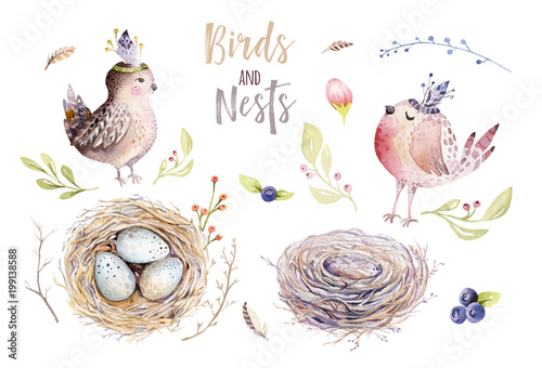 Hand drawing easter watercolor flying cartoon bird and eggs with leaves  branches and feathers. Watercolour spring art illustration in vintage boho style. Greeting bohemian card