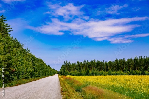 Countryside road along yellow rapeseed flower field and blue sky in rural Finland
