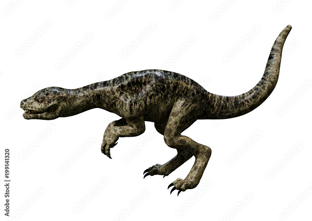 3D Rendering Dinosaur Tyrannosaurus Hatchling on White 3D Rendering Dinosaur Tyrannosaurus Hatchling on White