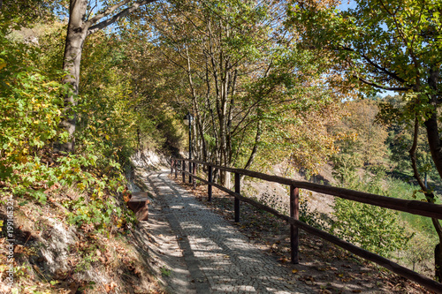 Autumn trail