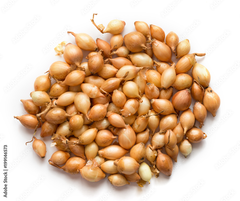 Fresh onions on white background. Fresh onions on white background.