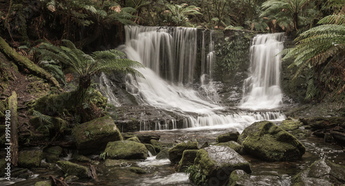 Liffey Waterfall  Tasmania  Australia