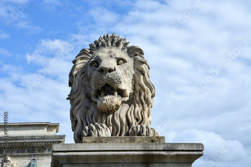 Lion statue on the Chain Bridge  in Budapest