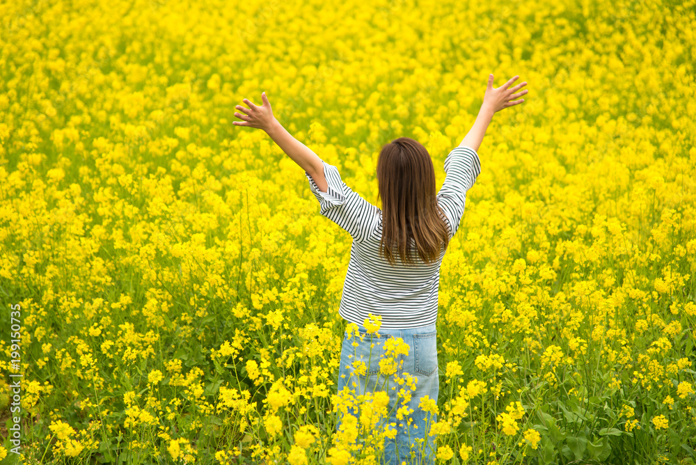 Fototapeta premium ・菜の花畑・両手・天を仰ぐ