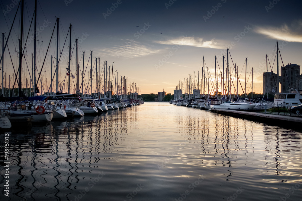 Moored boats