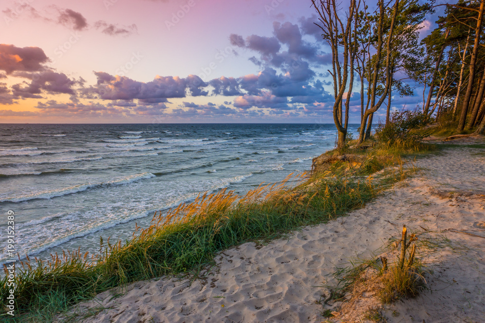 Beautiful sunset on Baltic Sea with colorful cloudy sky, golden sand and lightened pine forest