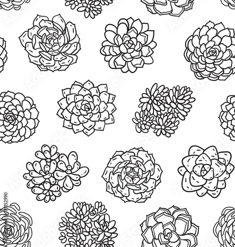 Succulents outline seamless pattern. Ideal for coloring page