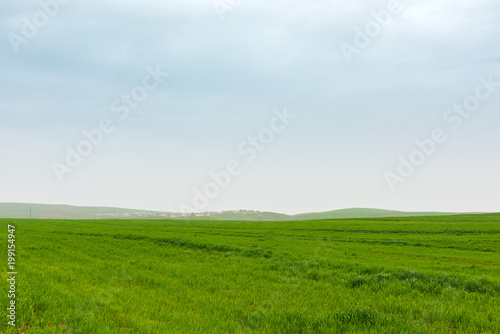 Brightly green farmlands